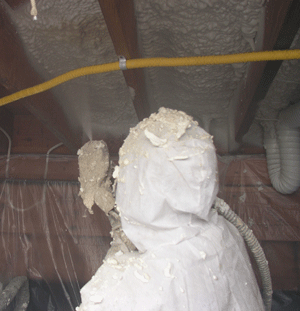 Warren MI crawl space insulation