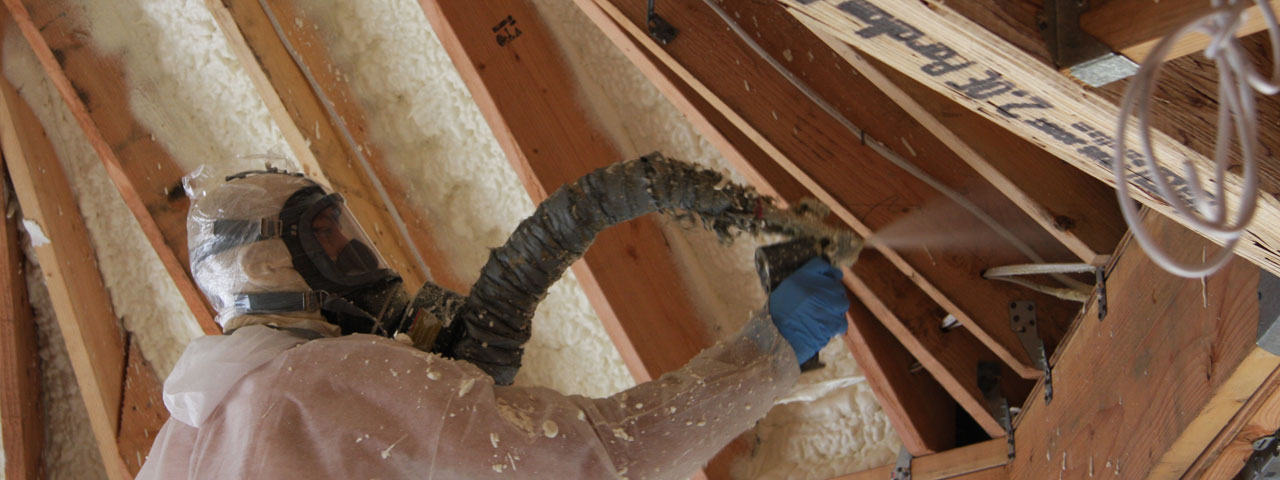 Warren Michigan Attic Insulation Spray Foam